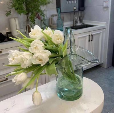 Internet Celebrity Bags Vase Decoration Transparent Flower Arrangement Ins Style Living Room Handbag Glass Vase Aquatic