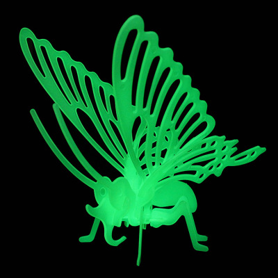 [Factory Direct Supply] Luminous Patch Assembled Toy Creative Butterfly Skeleton Pattern Luminous Toy