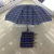 Umbrella, three fold umbrella, sun umbrella, lattice umbrella, umbrella, adult 65cm10 factory direct sales