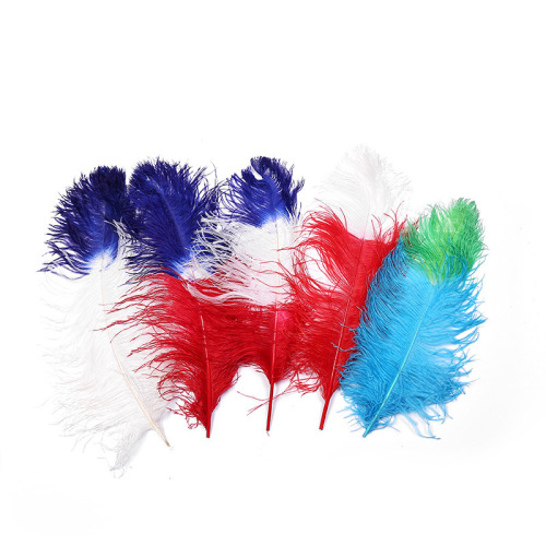 dream color macaron color diy bouquet garland decoration feather feather tie-dyed two-color ostrich hair 55-60cm