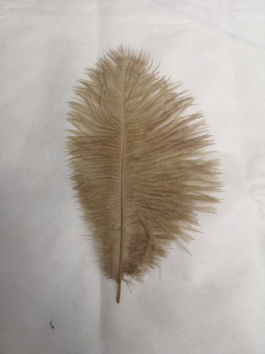 Ostrich Feather， Ostrich Feather， Turkey Feather Strip， Ostrich Tail Hair， Ostrich Wing Hair