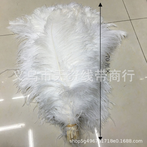 Sell 65-70cm Pure White Ostrich Feather Hotel Flower Arrangement Decoration Wedding Stage Performance Props Feather