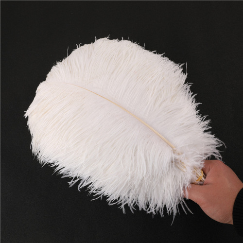 Ostrich Hair 50-80cm Ordinary Feather Wedding Flower Arrangement Decoration Performance Props White Feather Color