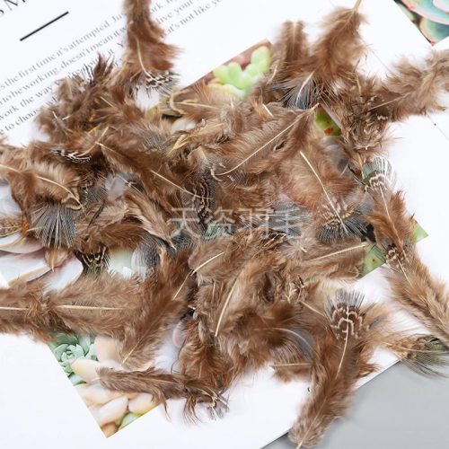 Factory Pheasant Green Eyebrow Feather Lace Earrings Decoration Feather Customizable Textile Raw Materials