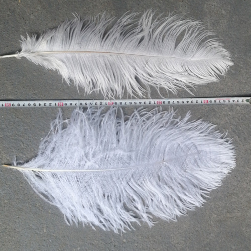 ostrich feather 45-50cm colorful ostrich feather diy wedding interior decoration white ostrich feather