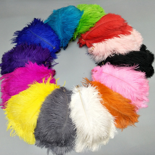 20-25cm colored ostrich feathers， little ostrich feathers， feather small package