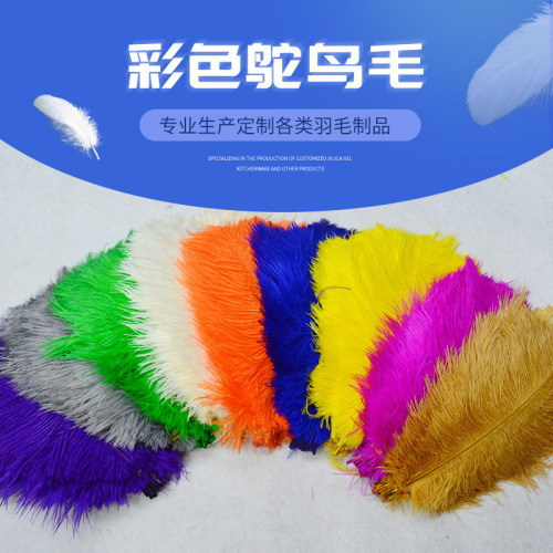 Color 20-25cm Ostrich Feather， ostrich Hair， Ostrich Tail Hair， ostrich Wings Feather