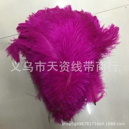 Rose Red Ostrich Feather 30-35cm Wedding Stage Performance Props Red Ostrich Feather， Wing Feather
