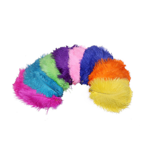 Ostrich Feather 20-25cm Colorful Feather 8 Colors Available in Stock one-Piece Delivery