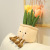 Cute Cartoon Tulip Plush Toy Small Doll Potted Doll Containing Bamboo Charcoal Package Flowers Doll Ornaments