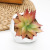 Artificial Succulent Pant Potted Polygon Pot Succulent Ornament Ornaments Emulational Greenery Bonsai Crafts