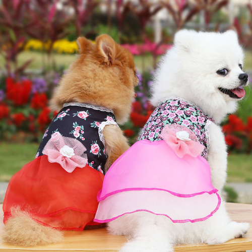 Spring and Summer New Dog Clothes Cat Hanbok Pet Supplies Small and Medium Dogs Floral Skirt Teddy Wedding Dress