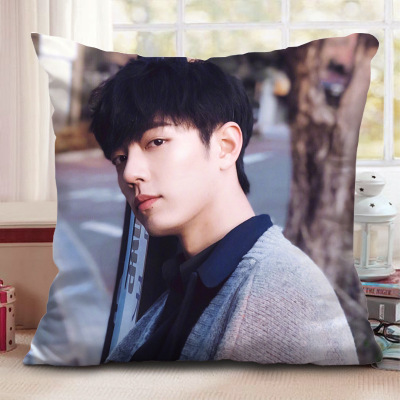 Pillow Printing Printing Pattern Printing All Kinds of Photos Celebrity Related Goods Customized Wholesale