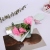 Wholesale Teacher's Day Mother's Day Gifts 3 Simulation Soap Flower Carnation Gifts Cross-Border