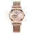 2021 New Mechanical Watch Women's Milan Strap Korean Heart-Shaped Hollow Mechanical Watch Women's Watch with Diamonds Wholesale