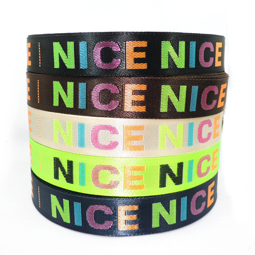[Factory Direct Sales] Customized Imitation Nylon Color Polyester Various Width Jacquard Net Tape