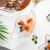 INS Nordic Creative Plate Dish Household European Style Tableware Fruit Salad Dessert Bowl Marine Scallop Glass Plate