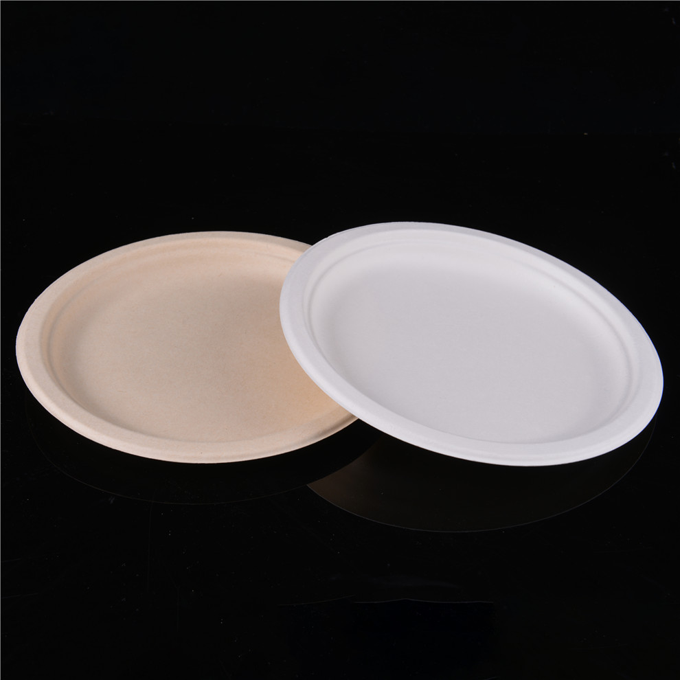 一次性纸盘甘蔗浆可降解加厚蛋糕盘户外烧烤party圆形餐盘