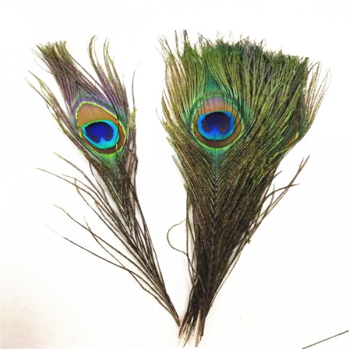 wholesale peacock feather 25-30cm eyes with good hair