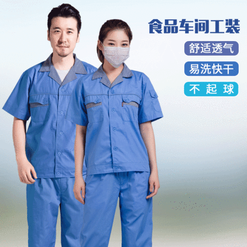 Food Workshop Work Clothes Wholesale Summer Short-Sleeved Work Clothes Customized Cleaning and Cleaning Work Clothes Men and Women Factory Clothing Auto Repair
