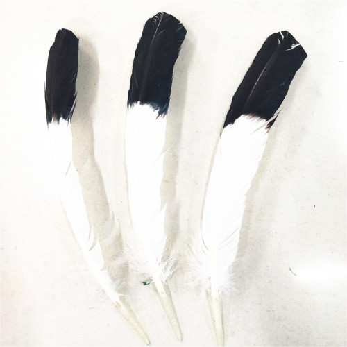 factory direct sales turkey feather nest feather dyed black head 25-30cm environmentally friendly coloring