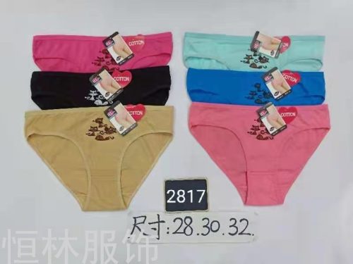 Underwear Foreign Trade Underwear Women‘s Underwear Spot Color Cloth Printed Underwear