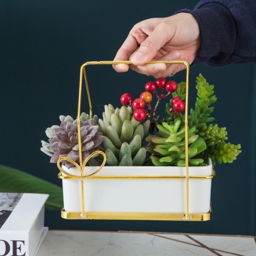 creative nordic ceramic succulent flower pot hand-carrying rectangular succulent plants pot office decoration decorations