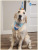 Dog Birthday Decoration Two-Piece Suit Birthday Hat Saliva Triangular Binder Customizable Cross-Border Foreign Trade Packaging