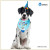 Dog Birthday Decoration Two-Piece Suit Birthday Hat Saliva Triangular Binder Customizable Cross-Border Foreign Trade Packaging