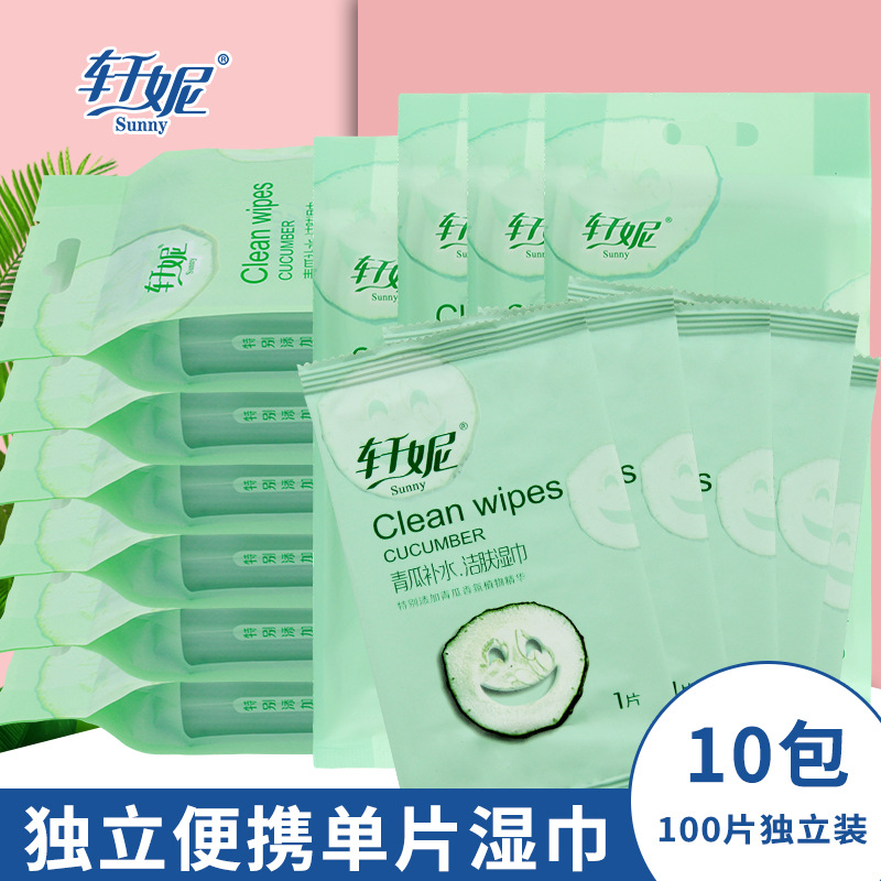 SOURCE Manufacturer 10 Packs 100 Pieces Wet Wipes Wholesale Convenient Carry Bag Independent Single