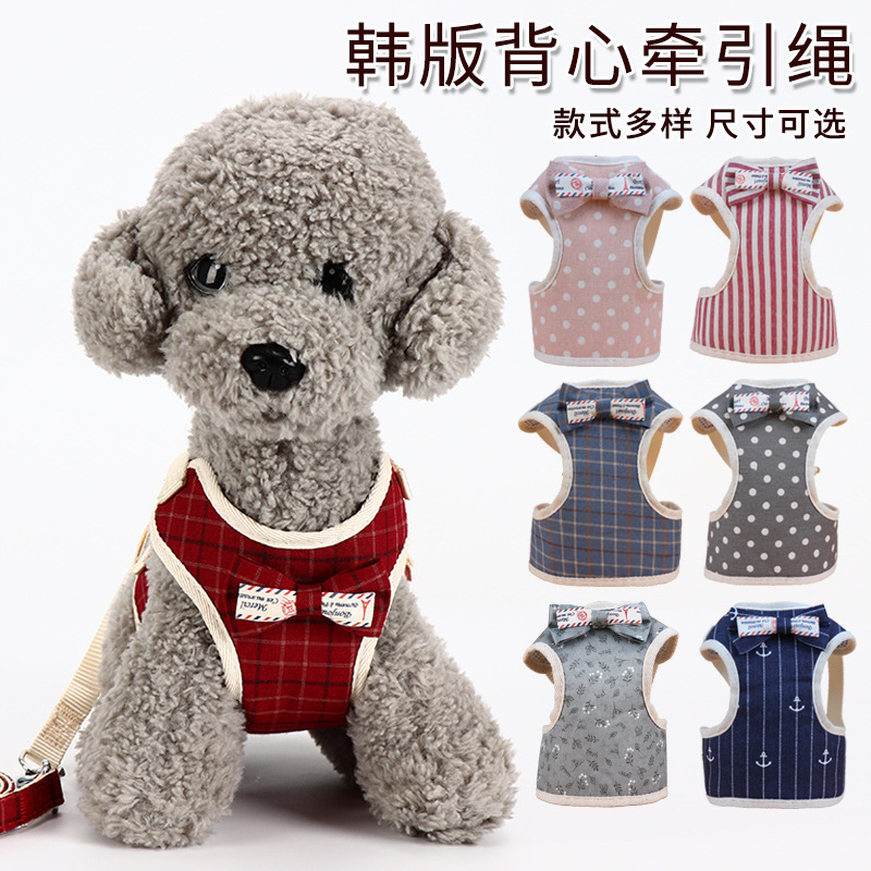 Dog Hand Holding Rope Teddy Bichon Small Dog Vest Bow Evenin...