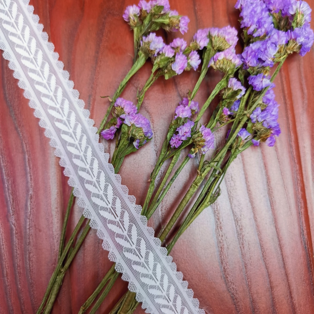 新款 打底衫领口蕾丝花边 文胸 内衣蕾丝花边 服装辅料详情2