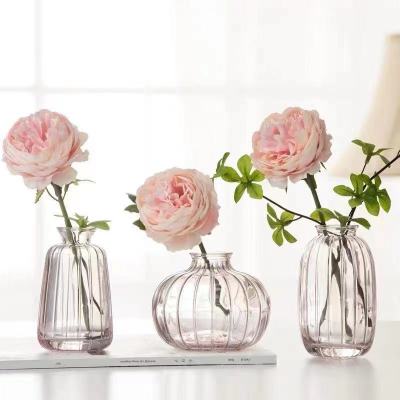 Small Relief Simple Ins Small Vase Mini Flower Device Transparent Color Flower Arrangement Decorative Window Sill Decoration