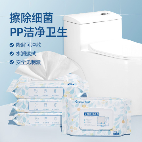 Best-Seller on Douyin 40 Wet Toilet Paper Flush Toilet Non-Blocking Washable Degradable Sanitary Cleaning Toilet Wet Tissue Wholesale