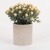 Amazon Simulation Potted Nordic Style Home Desktop Decoration Green Plant Mini Artificial Plant Bonsai