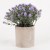 Amazon Simulation Potted Nordic Style Home Desktop Decoration Green Plant Mini Artificial Plant Bonsai