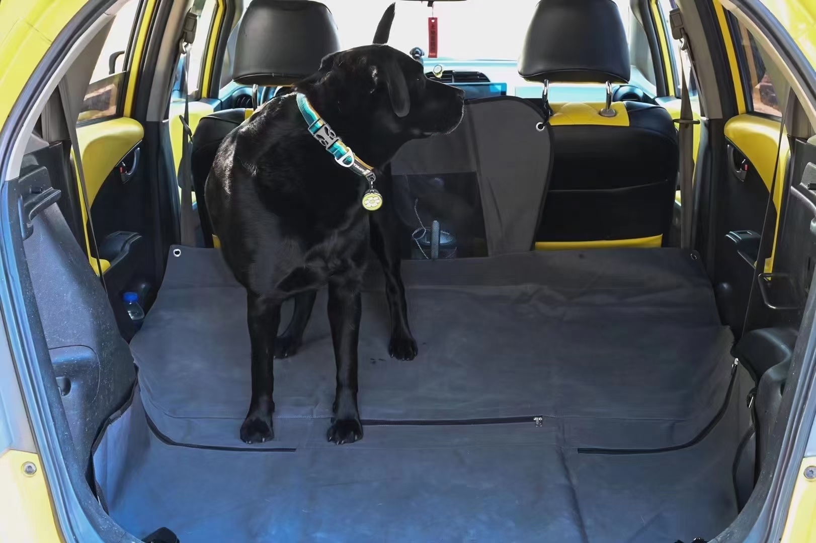 Taking Dogs out Will Stain Your Beloved Car &amp;#128663;
What Should I Do? [Slip]
This Car