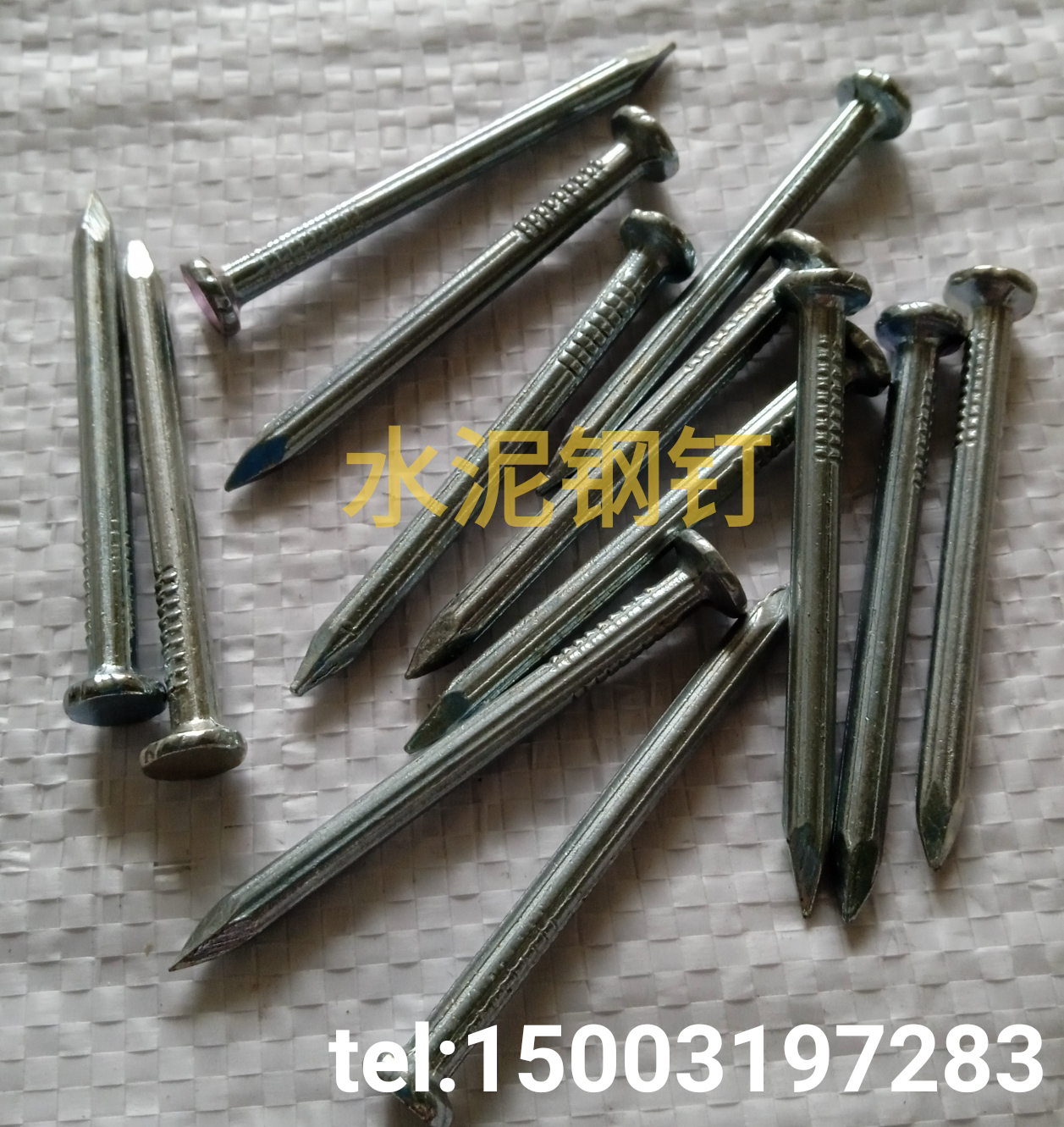 galvanised concrete nail hardened concrete nail for southeast asia