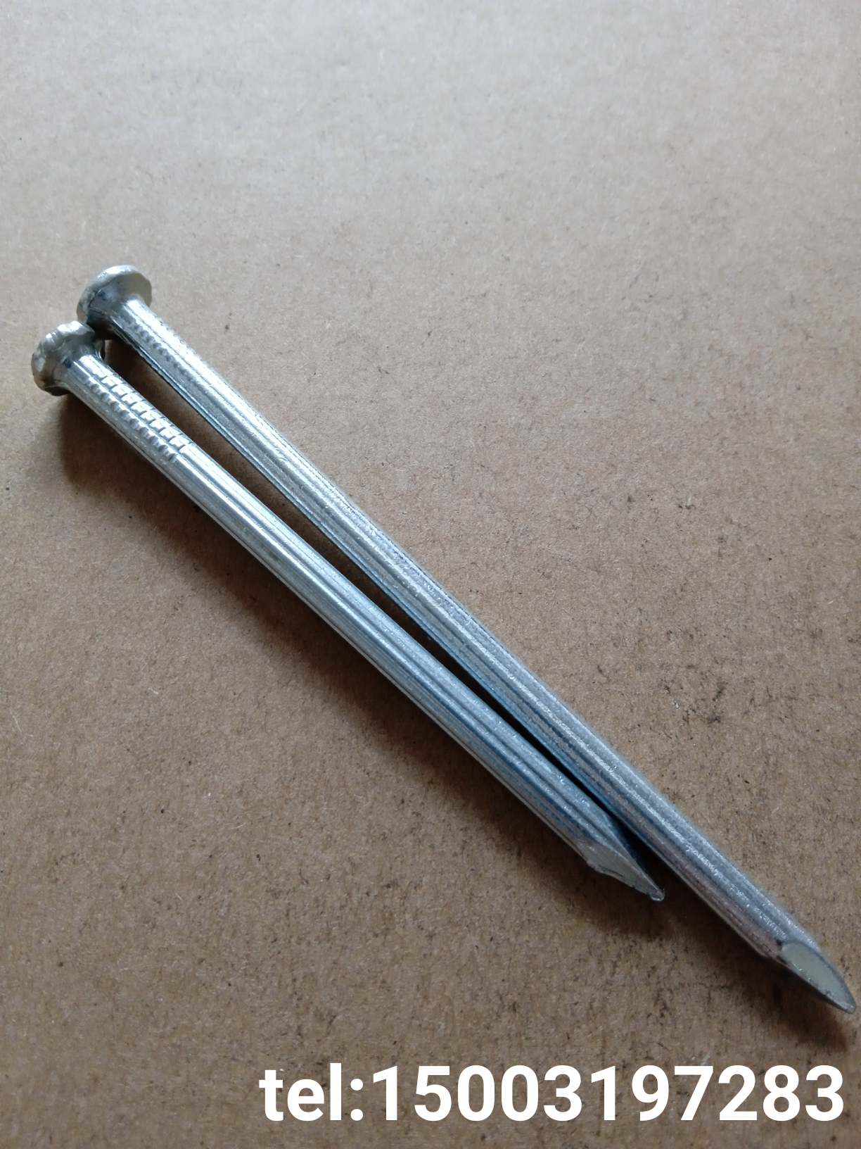 galvanised concrete nail hardened concrete nail for southeast asia