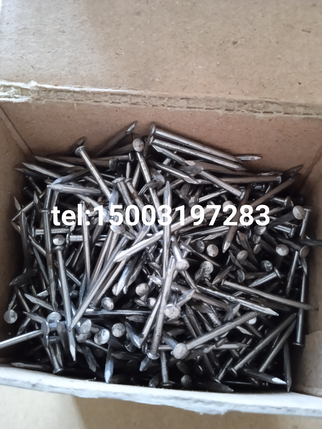 oval head common wire nail iron nail