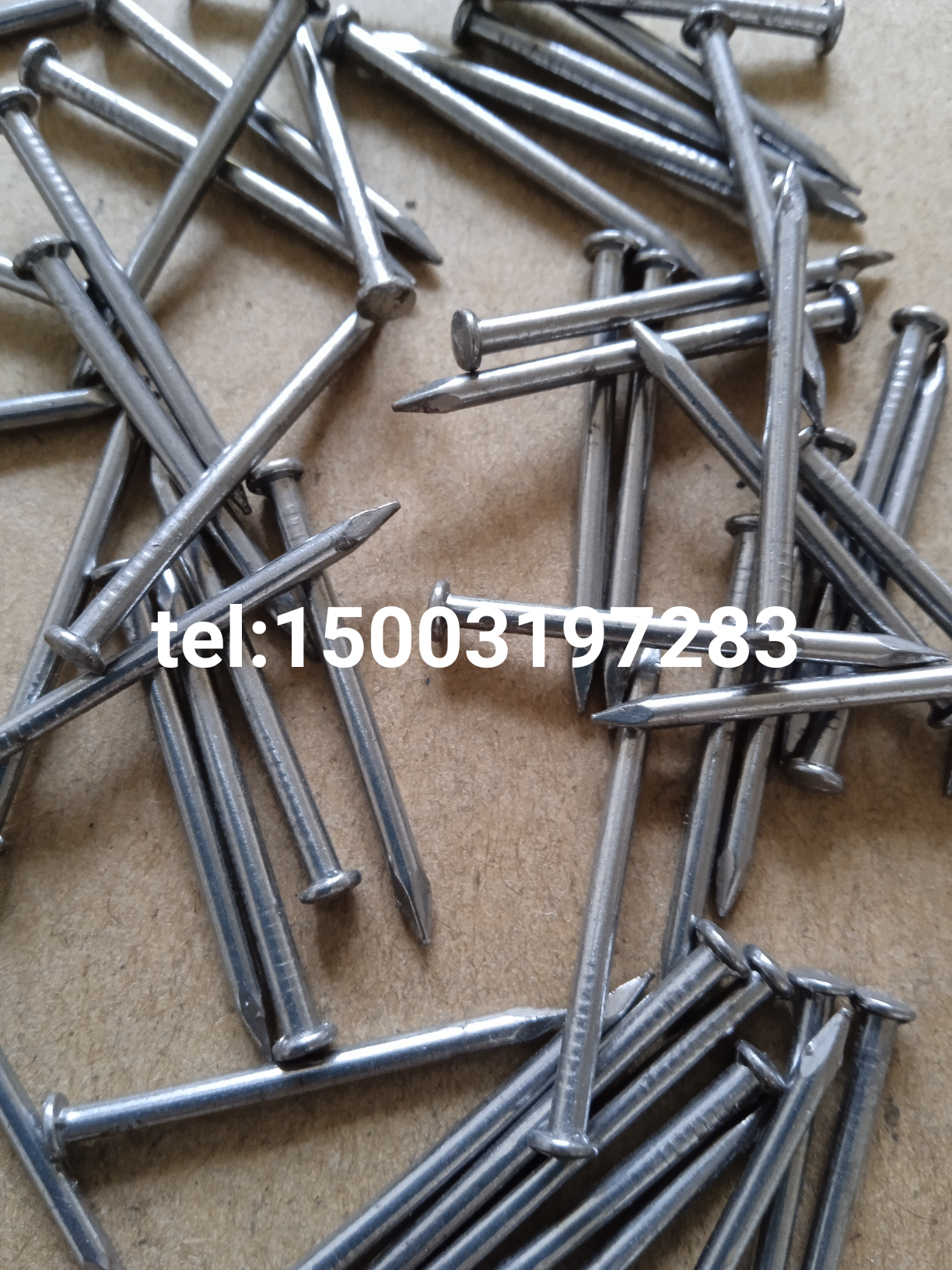 oval head common wire nail iron nail