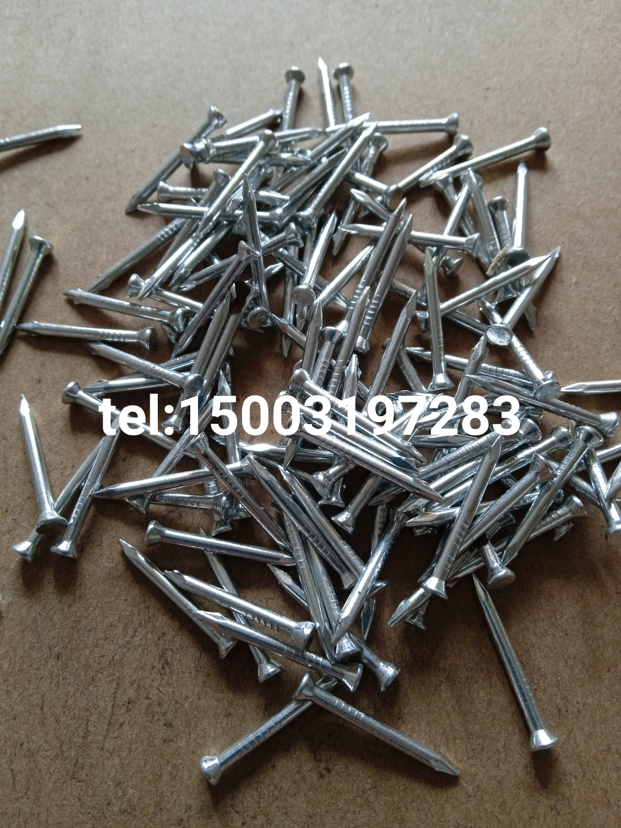casing head concrete nail steel nail galvanised nail cable clip nail plastic clip nail small concrete nail