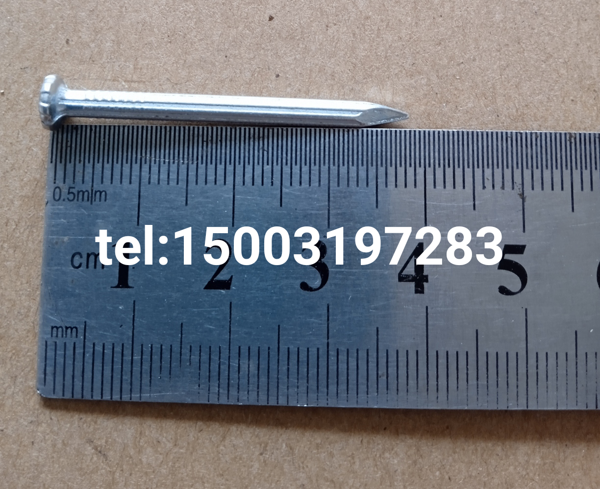 white blue zinc concrete nail galvanised concrete nail fluted nail steel nail