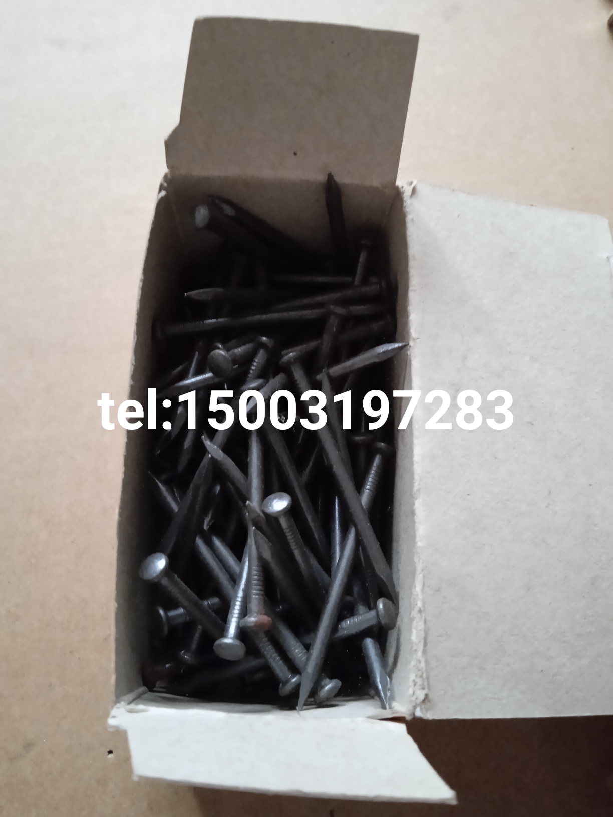 steel concrete nail galvanised concrete nail wire nail common nail sooth shank nail oval head nail black nails