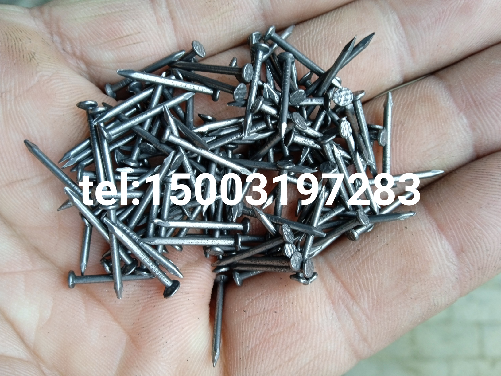 small common iron nail thin wire nail panel pin small wooden nail round wire nail polished common nail