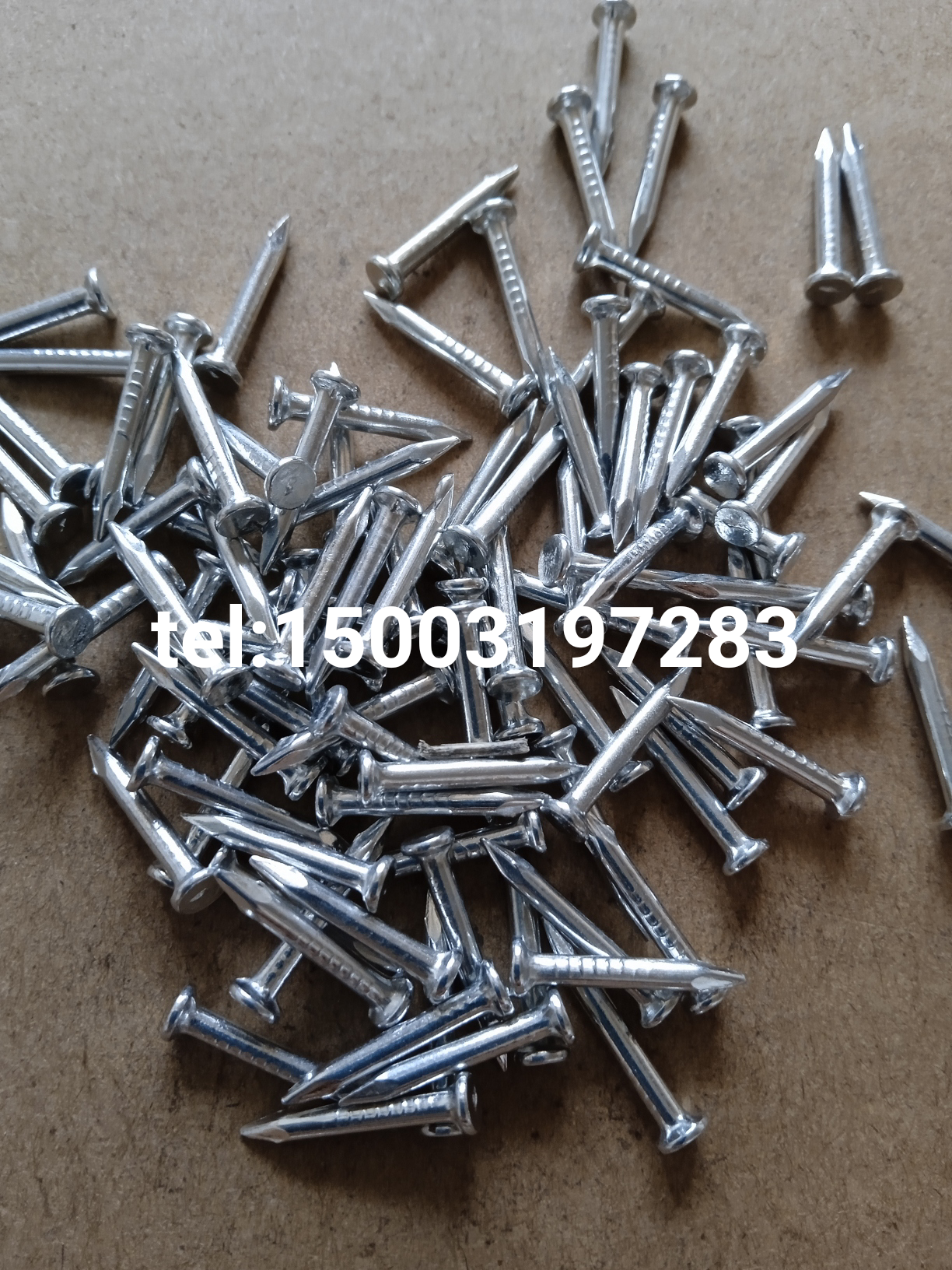 small concrete nail galvanised steel concrete nail wire clip nail pipe clip nail hardened nails for cable clip