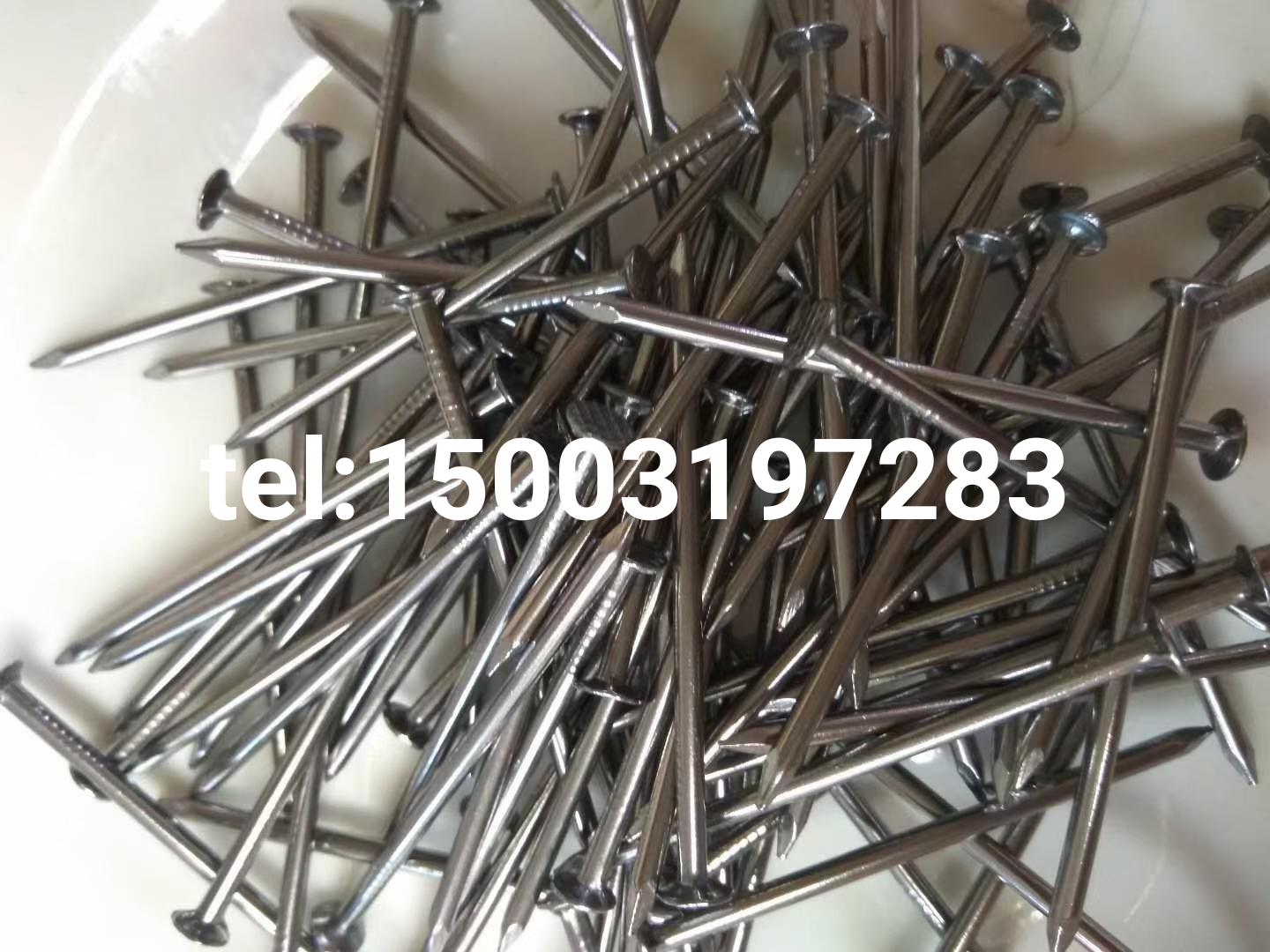 common wire nail iron nail round wire nail clavos export South America 