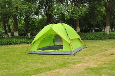 Automatic Double-Layer Camping Tent Sun Protection Rain Proof Moisture Proof Bottom Factory Direct Sales Cheap Wholesale