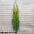 5 Fork Weeping Willow Hanging Simulation Water Plants and Green Plants Matching Water Plants Hanging Accessories Plant Wall Matching