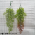 5 Fork Dragon and Phoenix Grass Hanging Water Plants Water Plants Hanging Accessories Plant Wall Matching